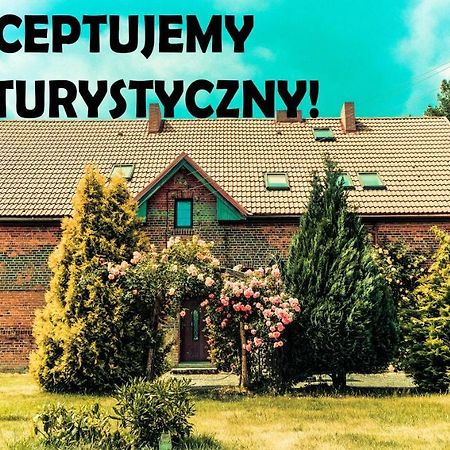 Chata Na Koncu Swiata Czaplin Maly エクステリア 写真