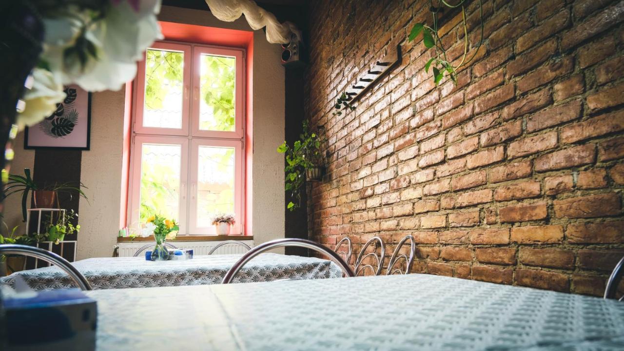 Chata Na Koncu Swiata Czaplin Maly エクステリア 写真