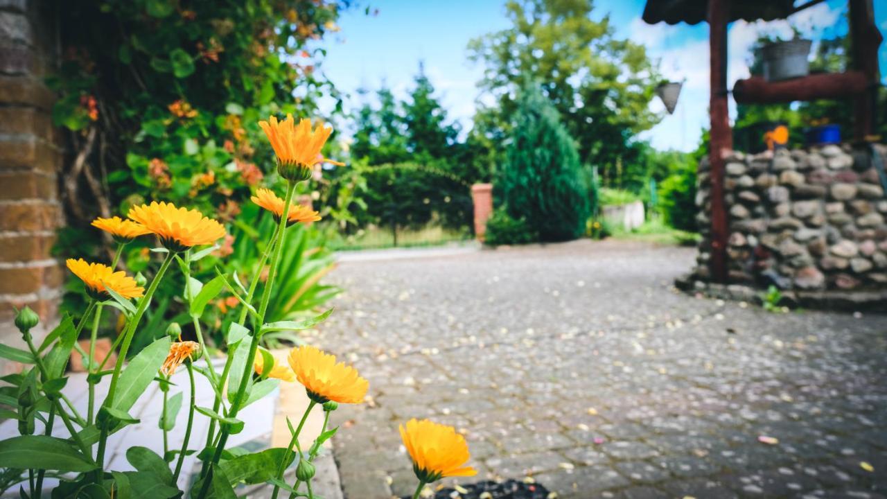 Chata Na Koncu Swiata Czaplin Maly エクステリア 写真