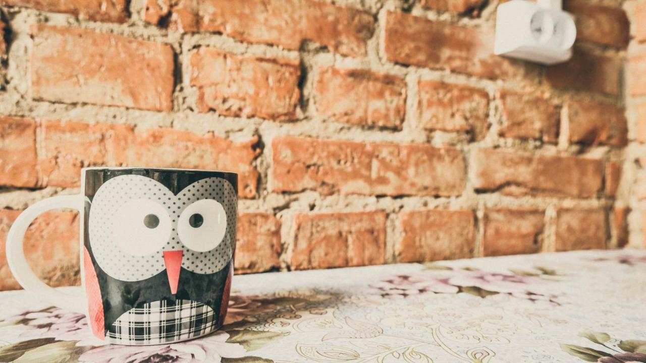 Chata Na Koncu Swiata Czaplin Maly エクステリア 写真